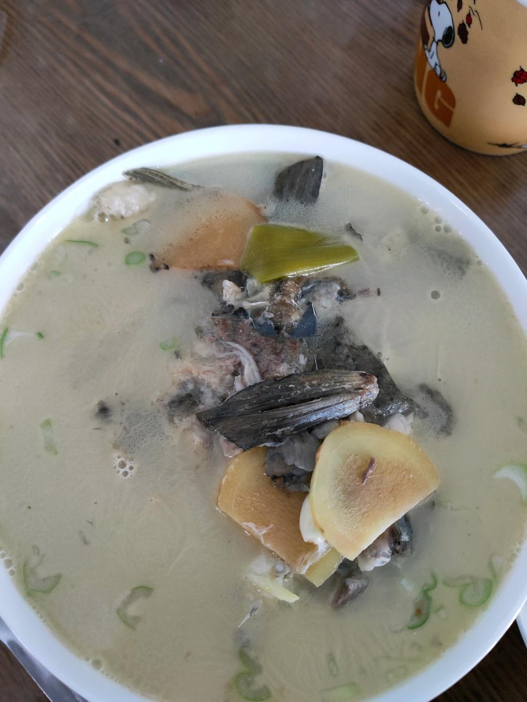 奶白鲫鱼汤