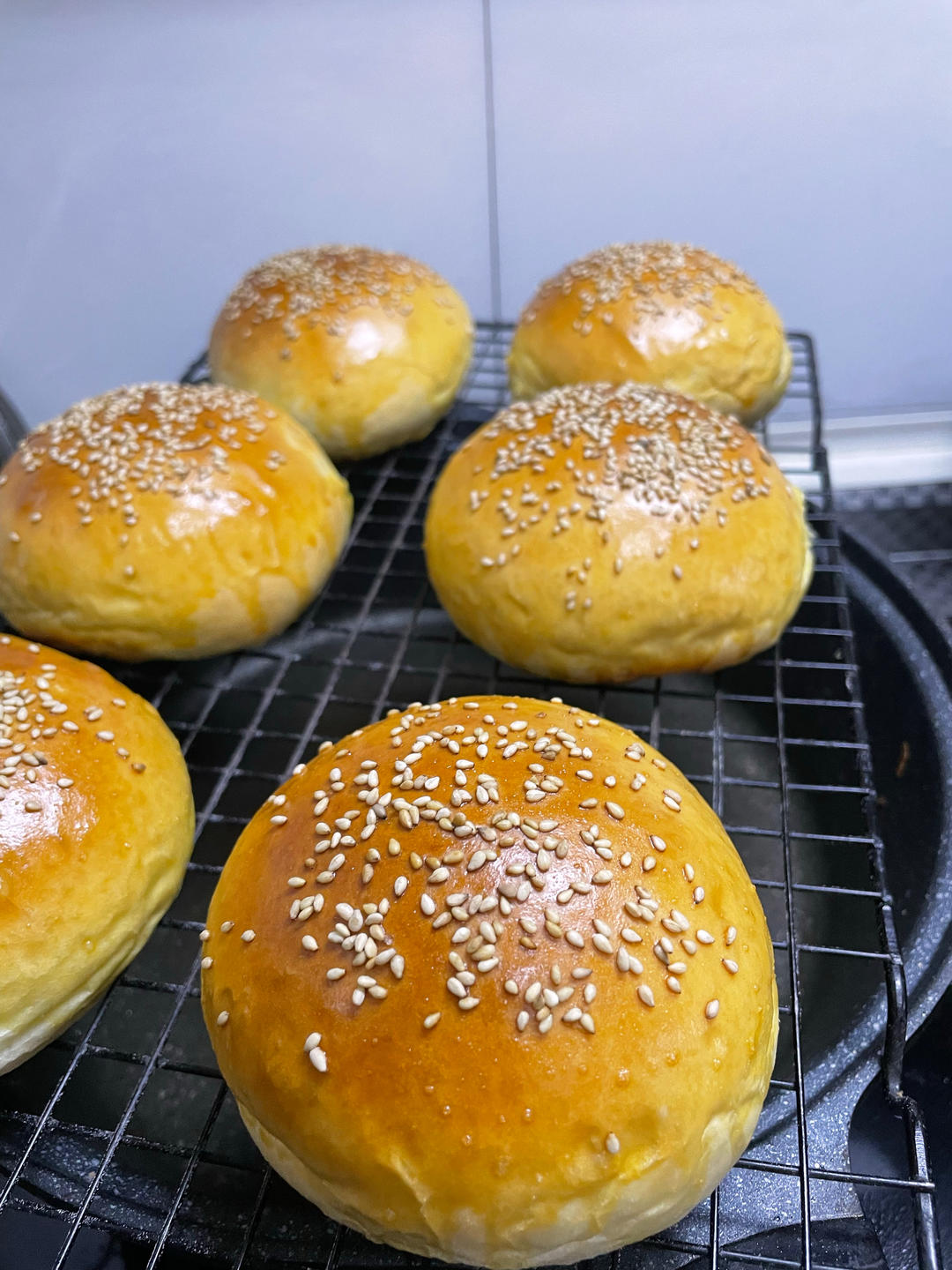 汉堡胚 poolish（波兰种）