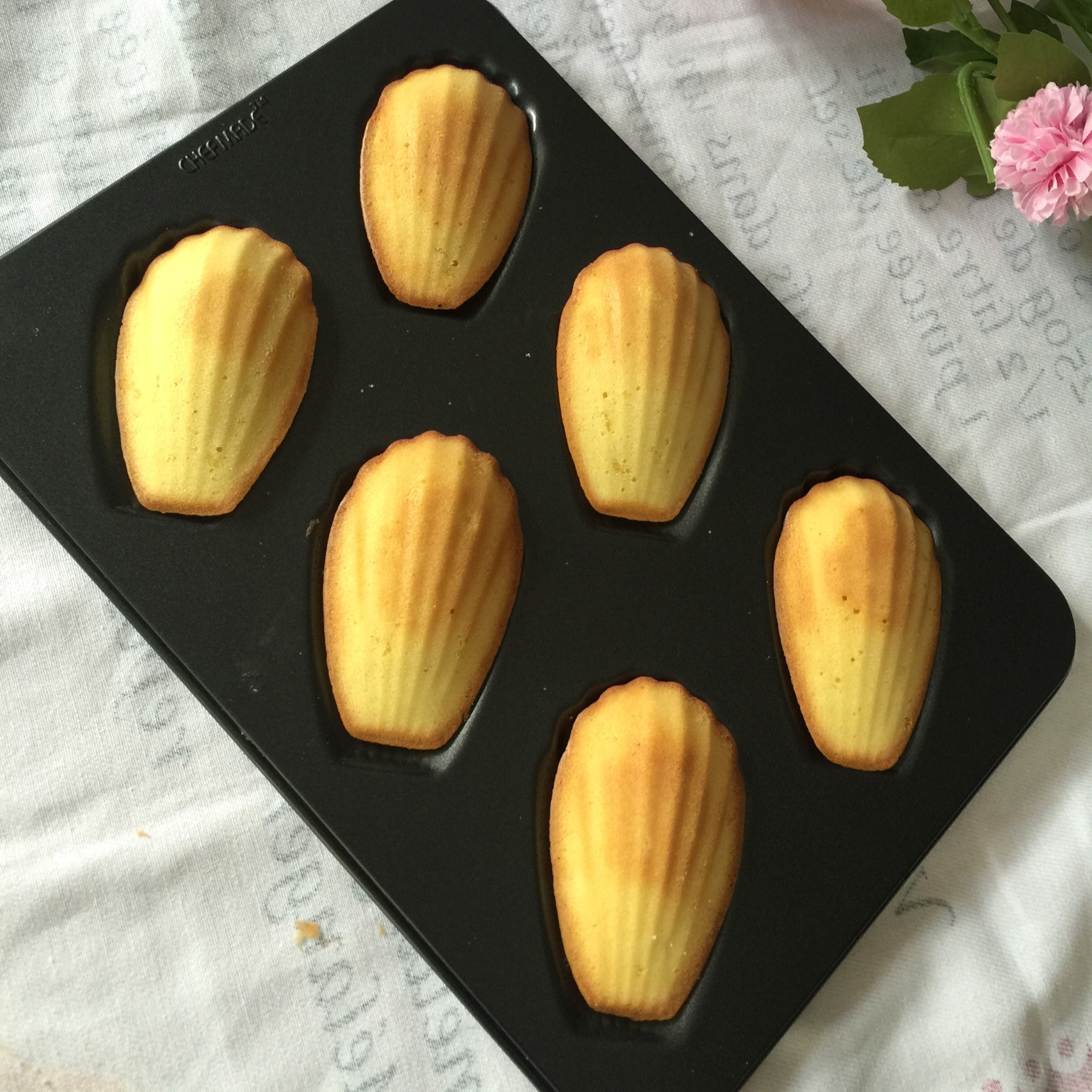 玛德琳（蓝带方）