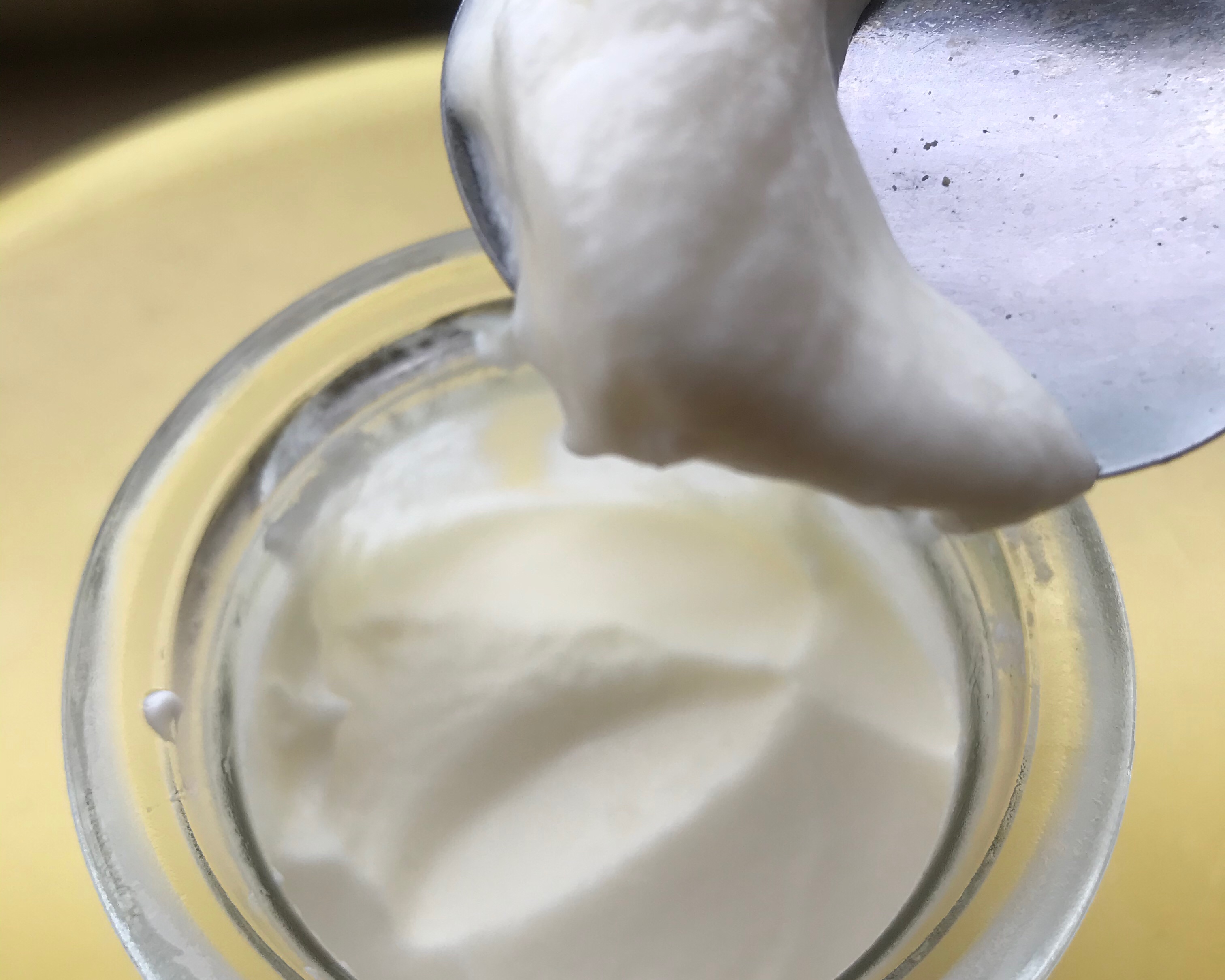 自制浓稠老酸奶最简做法