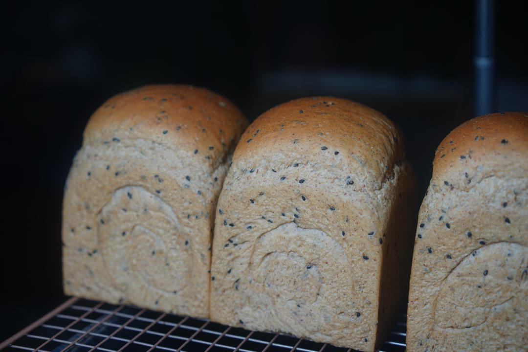 波兰种全麦面包🍞