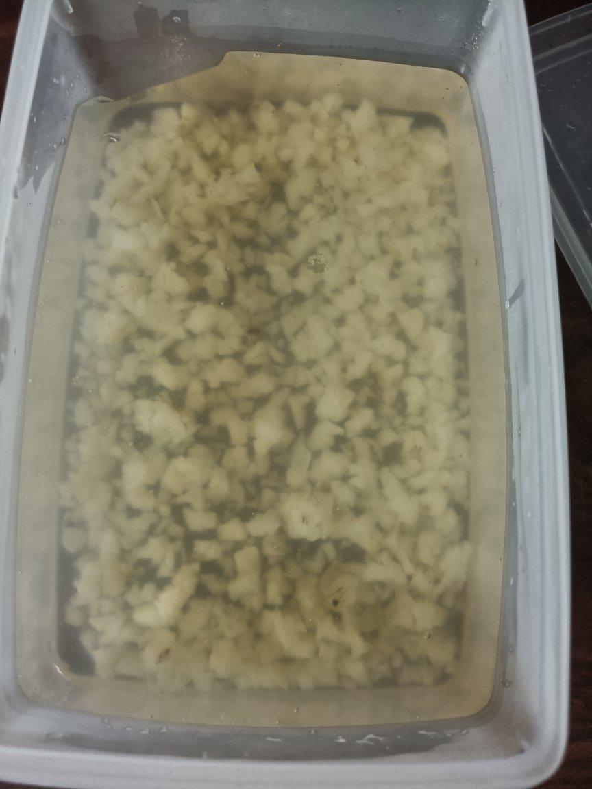 夏日特饮—5款可以吸的水果冻撞奶，白凉粉的N种可能