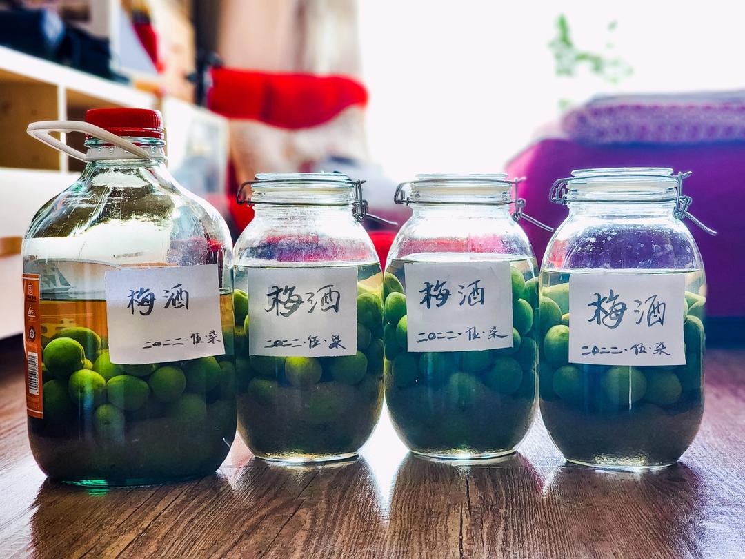 【青梅酒】梅子的沉醉时光（已填坑）