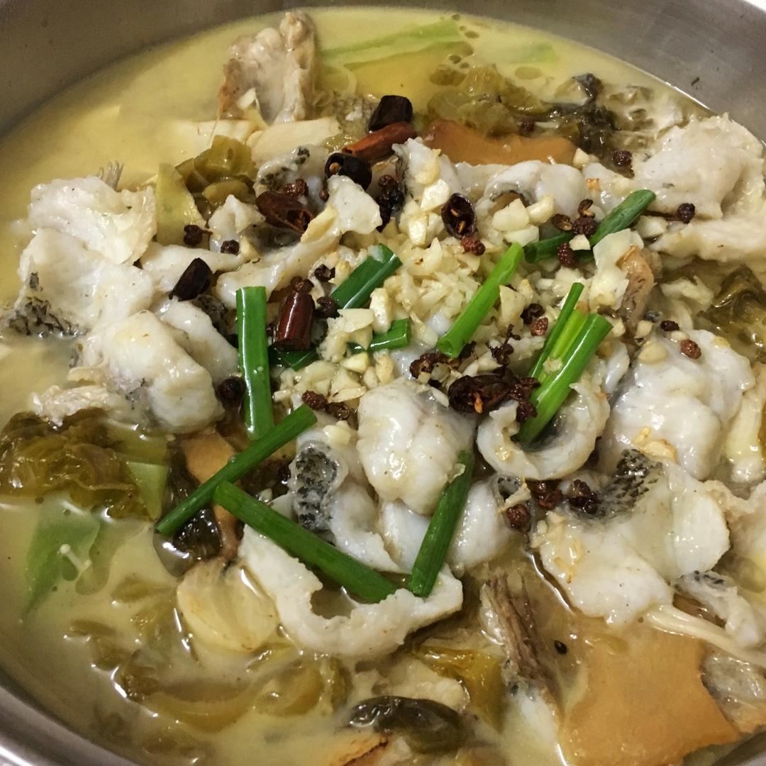 酸菜鲈鱼、水煮鱼（附如何片鱼肉及让鱼肉不腥的小妙招）
