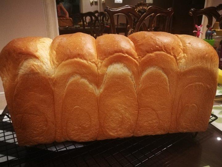 【北海道吐司】体验经典-妃娟100%中种，冷藏冰种的美味