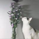 我爱吃吃吃_