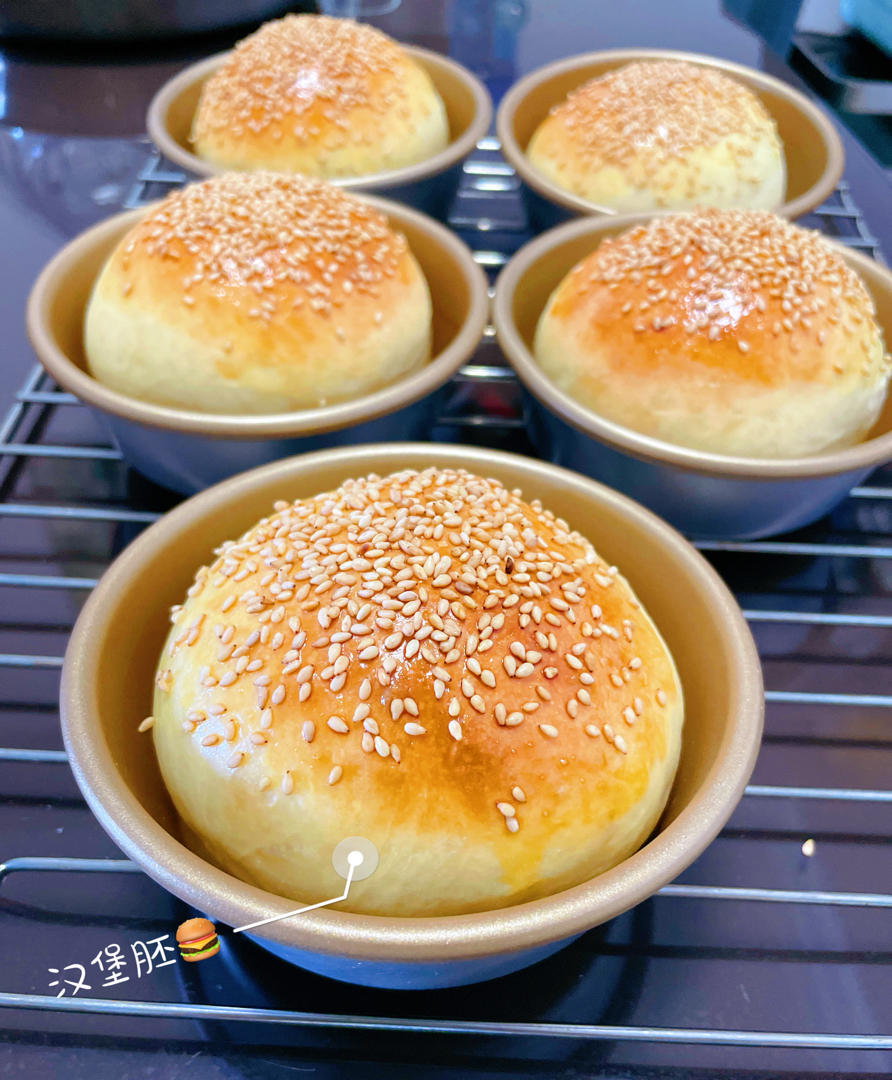 汉堡胚 poolish（波兰种）