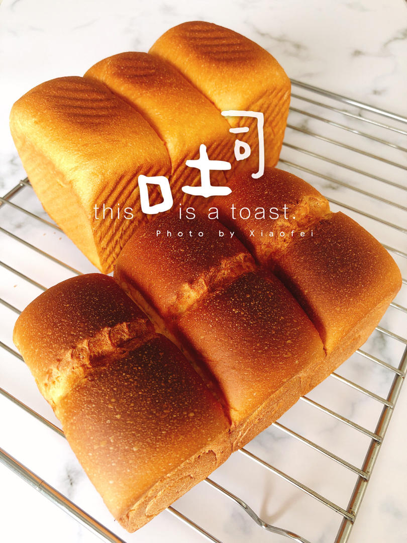 🌟只需一发的软妹子🌟奶香吐司🍞