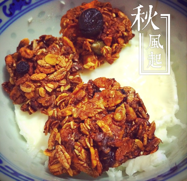 无粉无糖无油低gi燕麦饼干（微波炉版）