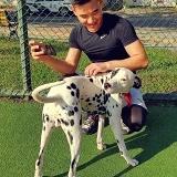 谌一手