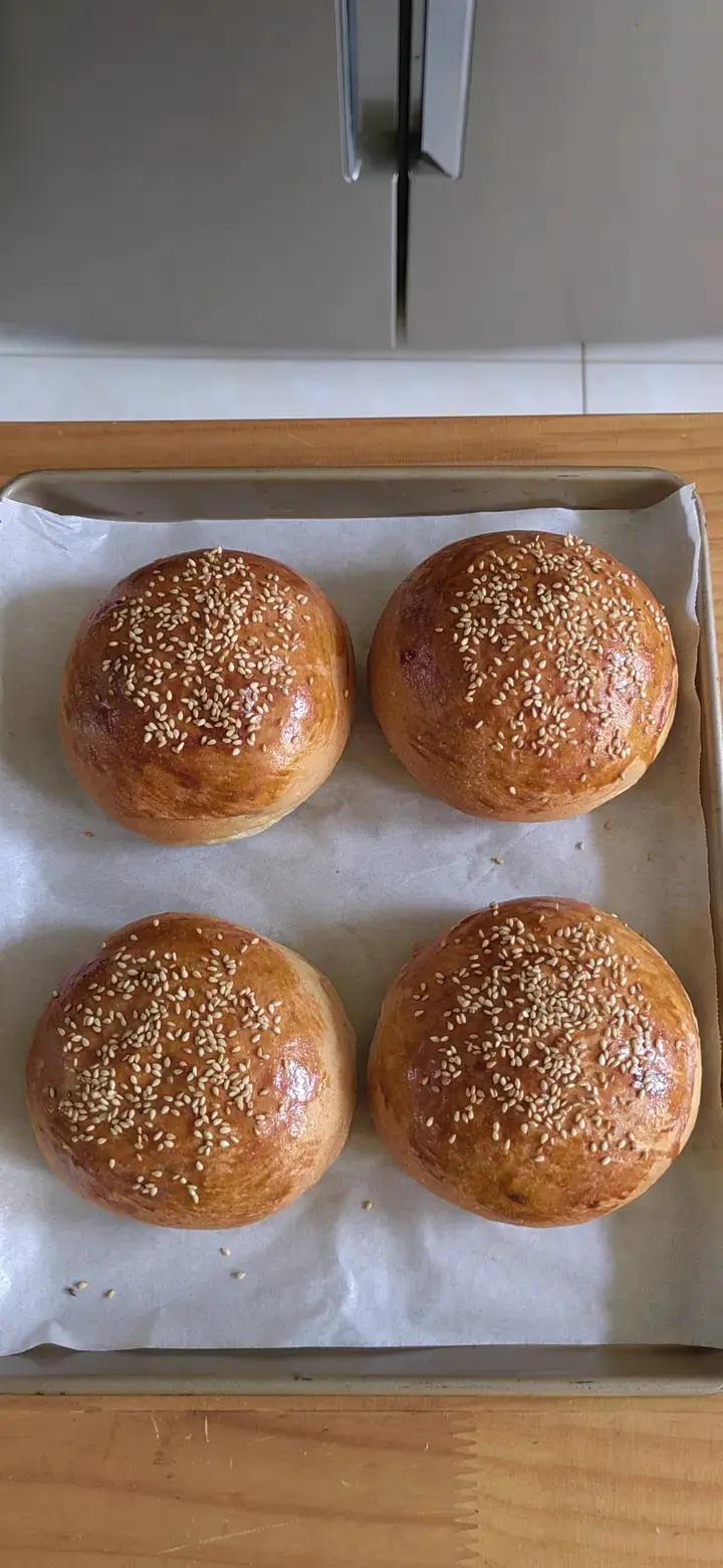 汉堡胚（中种法）