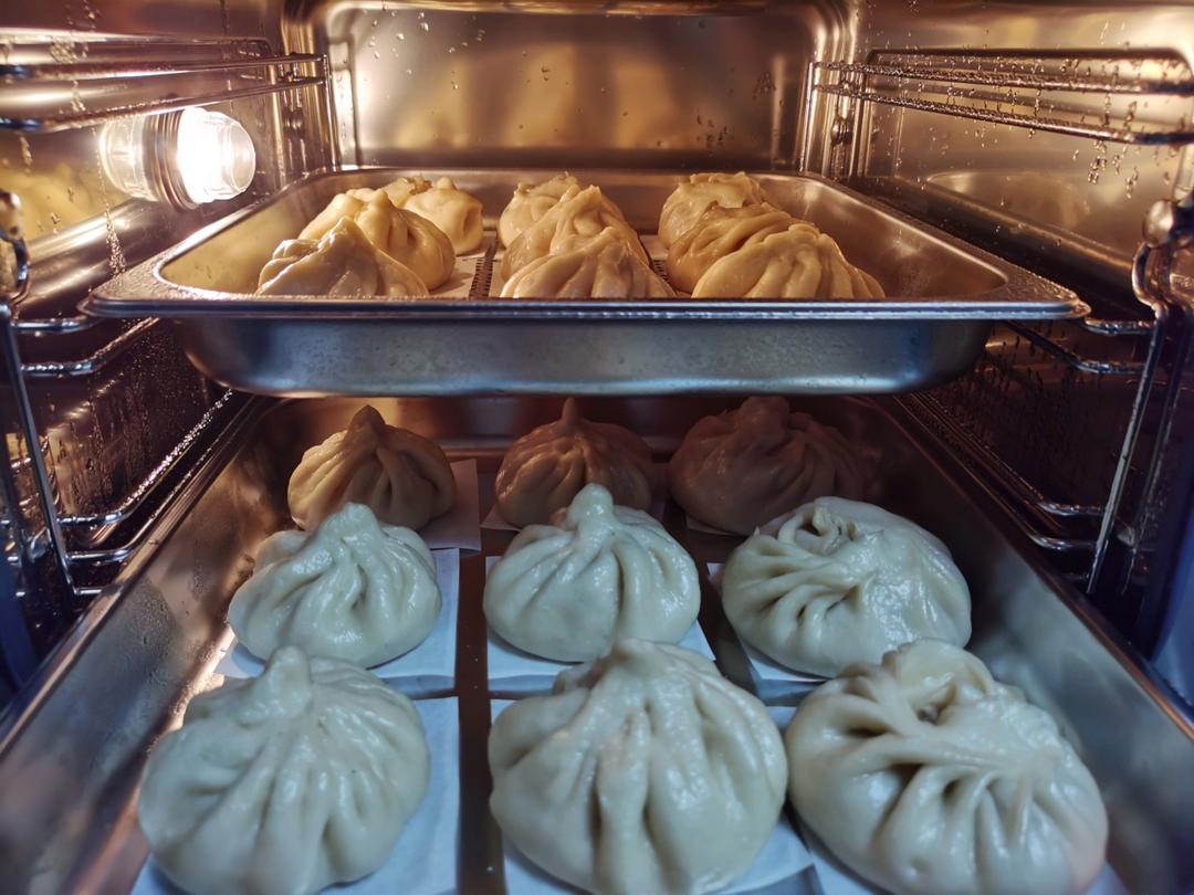 鲜肉包子（附 厨师机揉面方法）