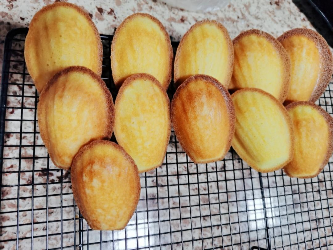 玛德琳（蓝带方）