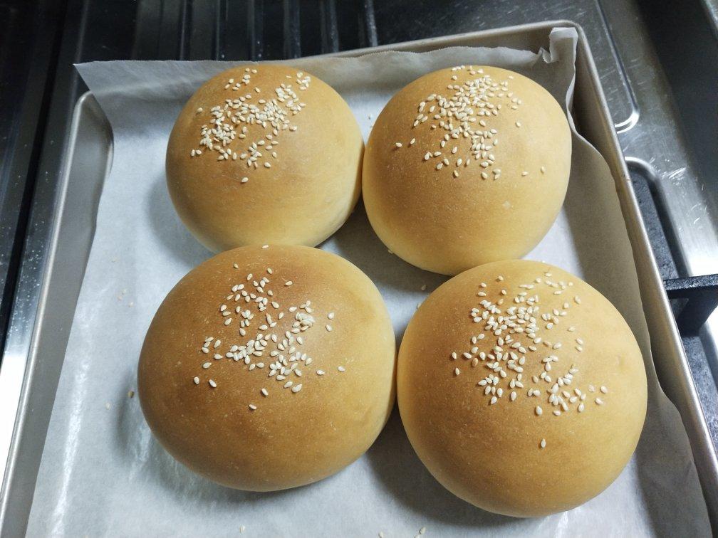 鲜奶汤种汉堡胚