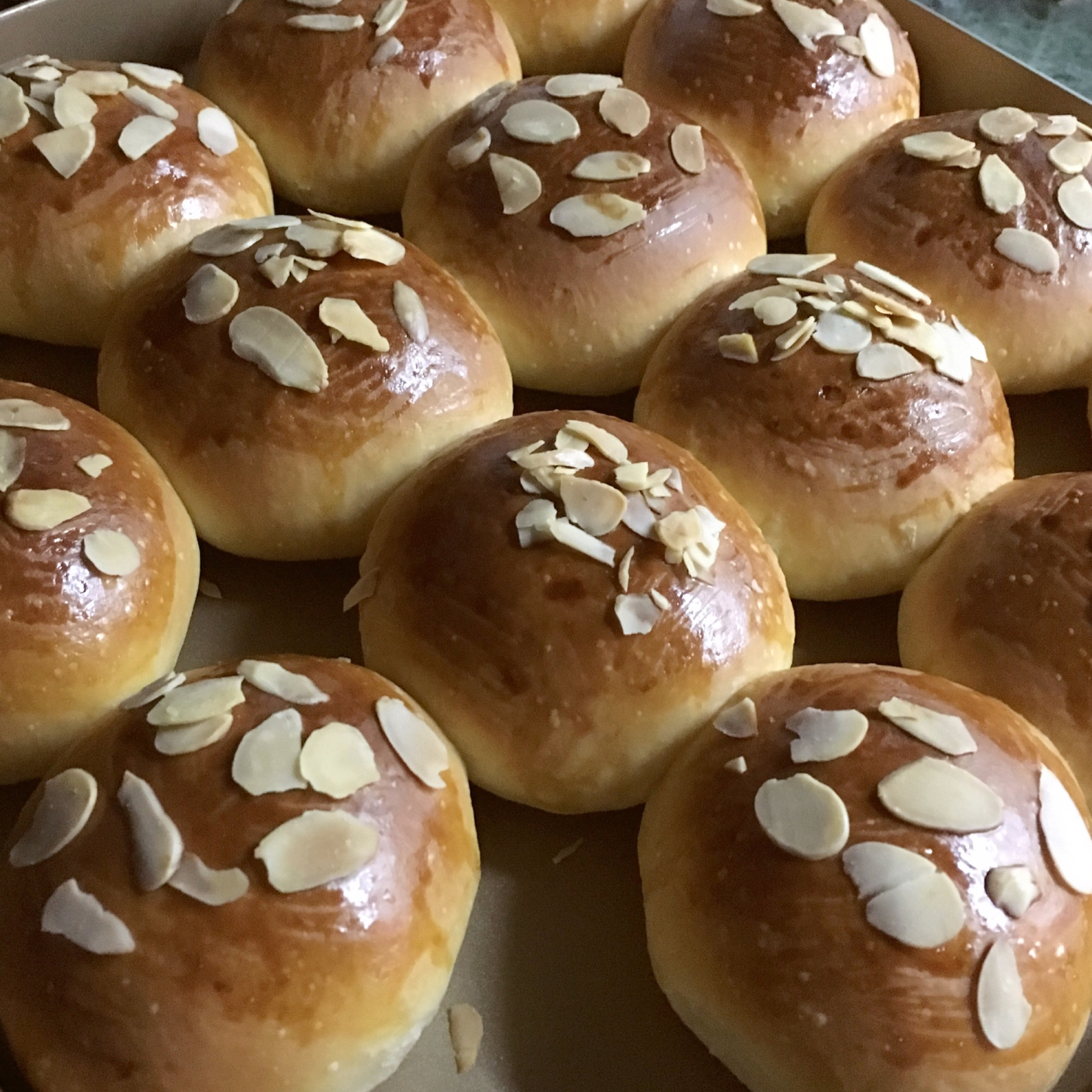 鲜奶油小餐包（一次发酵）