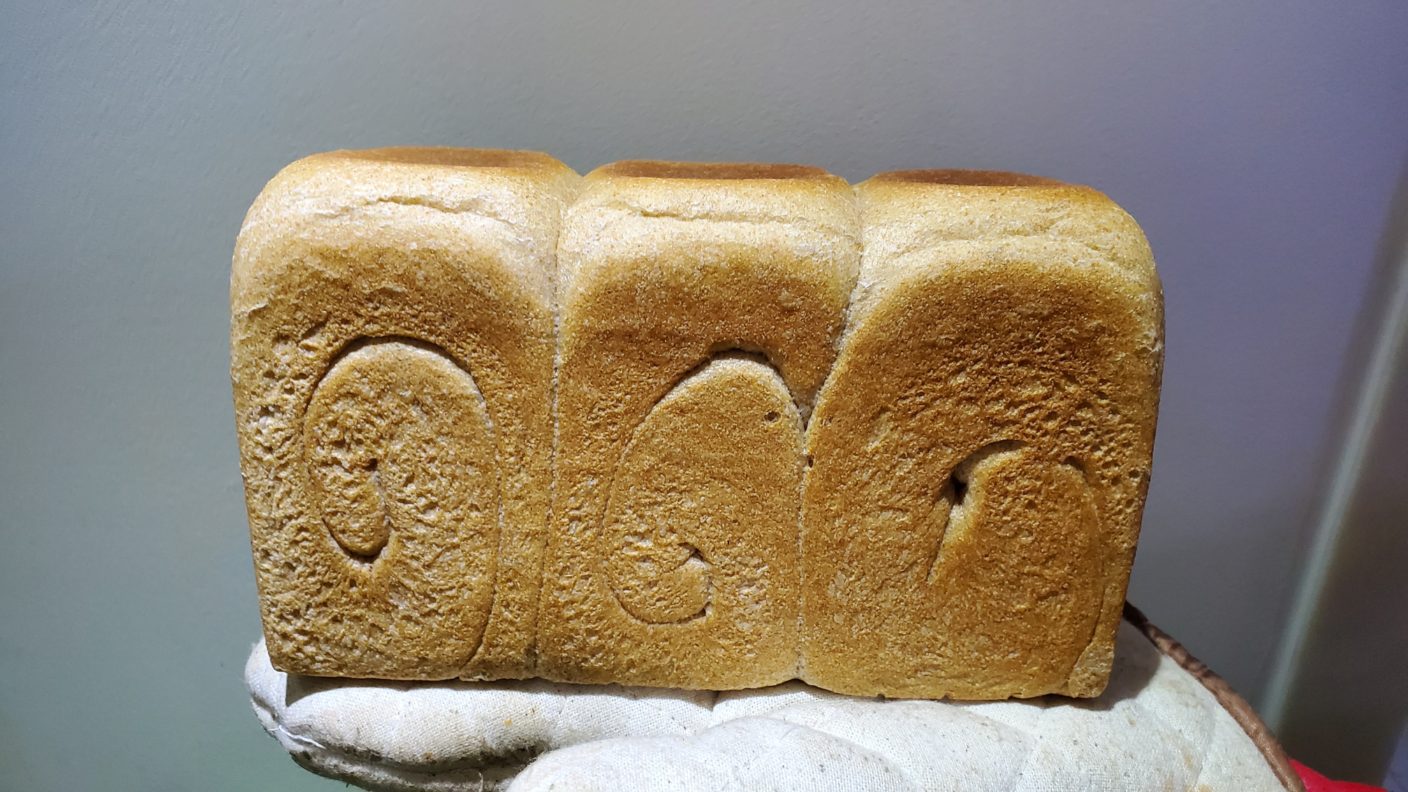 面包生活Bread Life【吐司和亚式面包】的做法