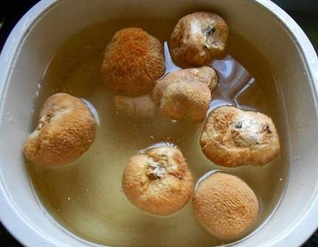 咖喱猴头菇土豆胡萝卜的做法 步骤1