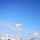 手机用户2363_ea8s