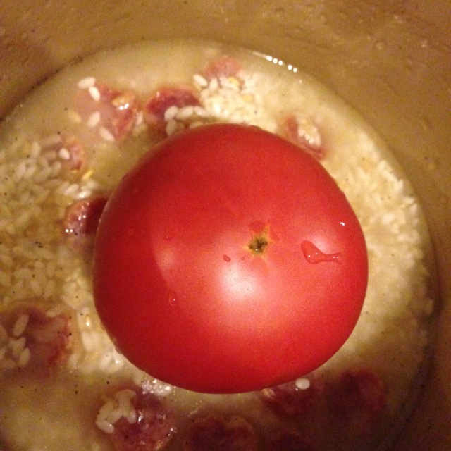 一只番茄饭