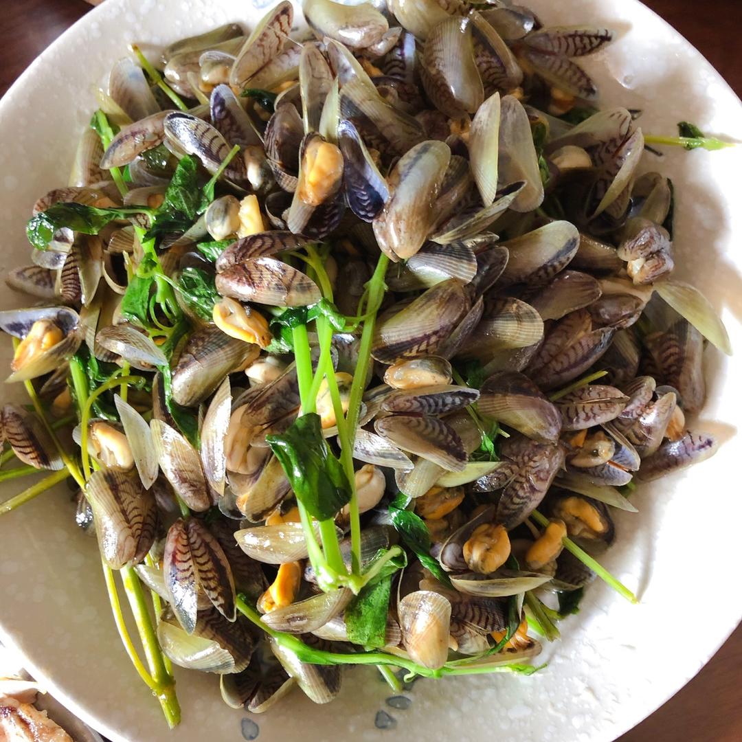 6分钟就能吃的快手菜！金不换炒海瓜子（又名九层塔炒薄壳）
