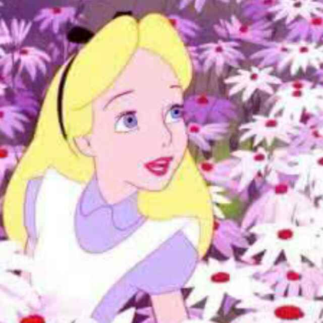 花与Alice-