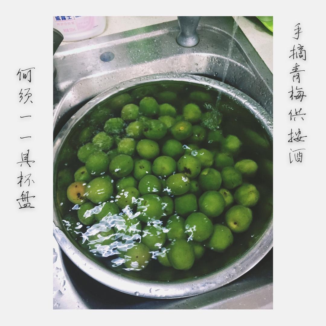 【青梅酒】梅子的沉醉时光（已填坑）