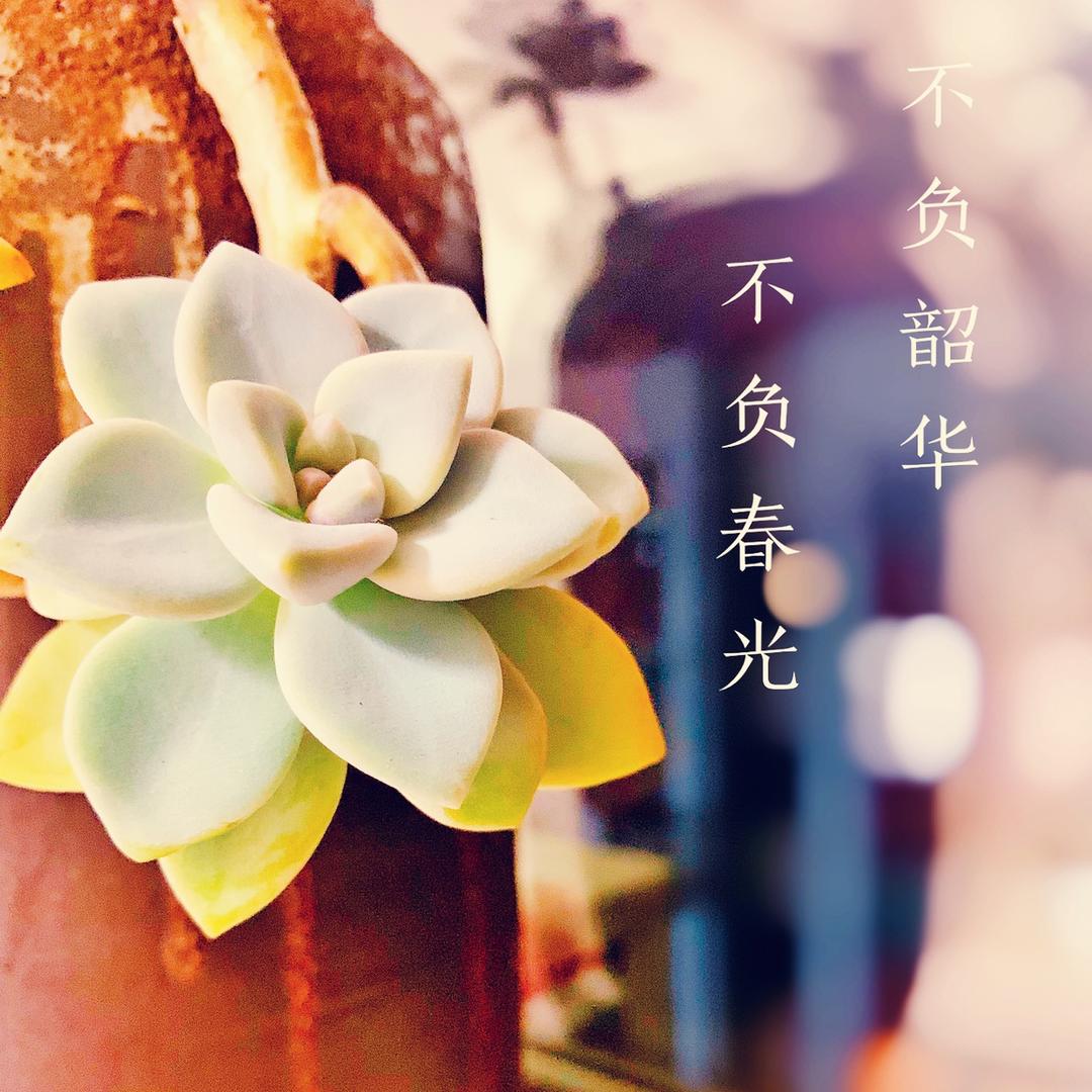 An滴