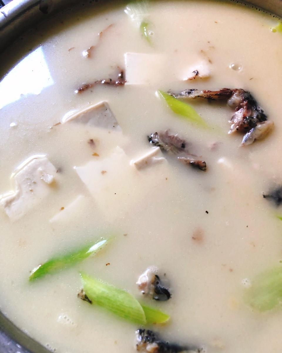 奶白鱼头汤（鲜）