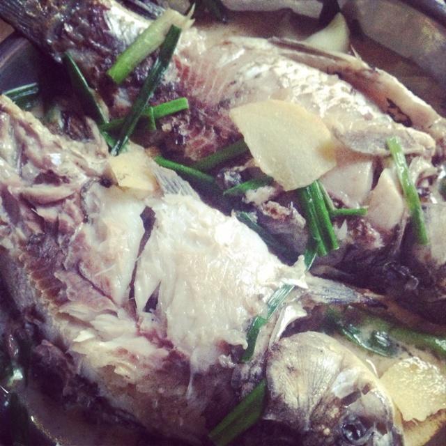 简单水煮白鲫鱼