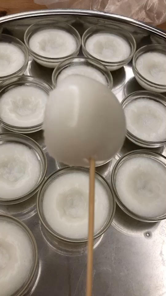 传统钵仔糕（只用粘米粉也能做出Q弹口感的秘诀）