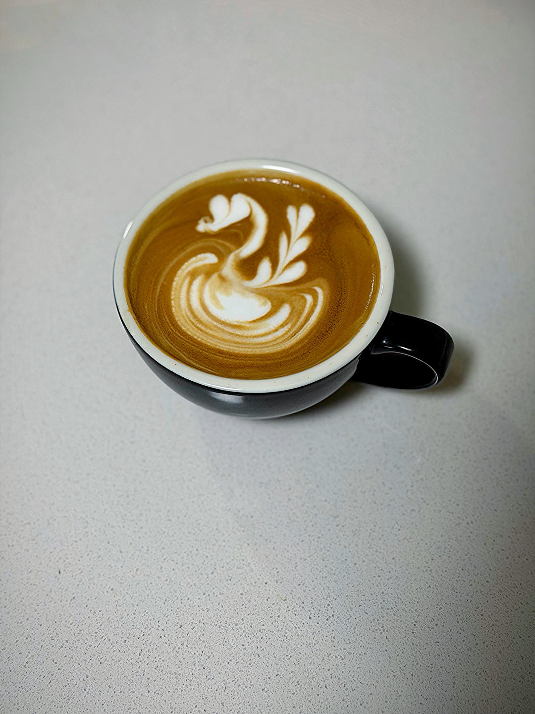 雯雯的咖啡☕️日记