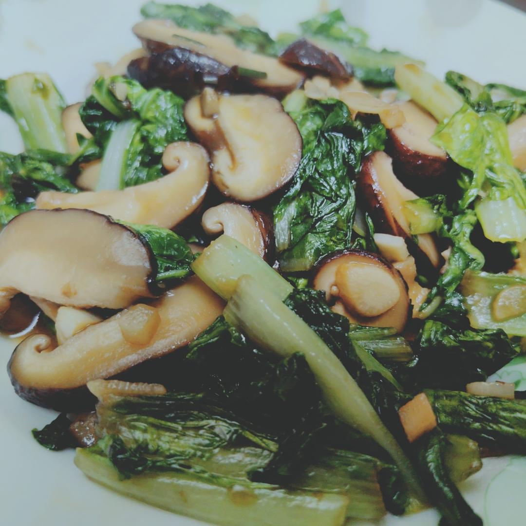 比肉还好吃的——蚝油香菇油菜