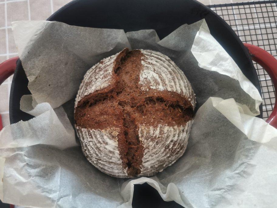 🍞免揉欧包新手入门指南（冷藏发酵、无油无糖）