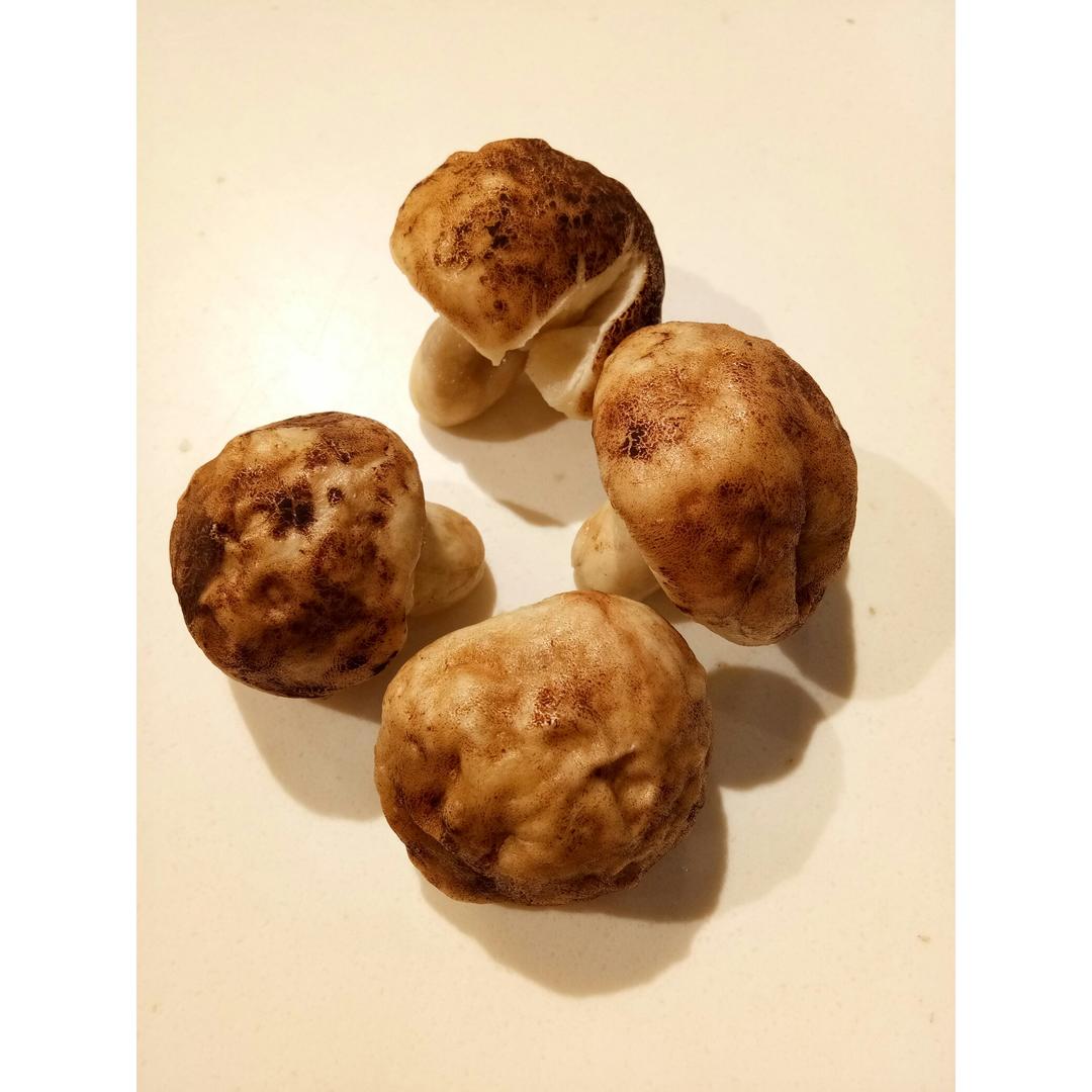 以假乱真 蜜豆香菇包  蘑菇馒头