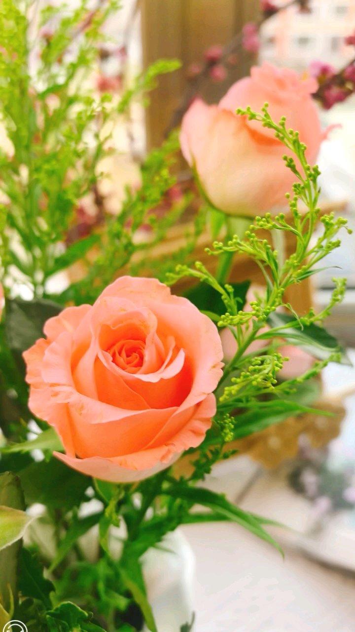 靓丽的草莓花骨朵