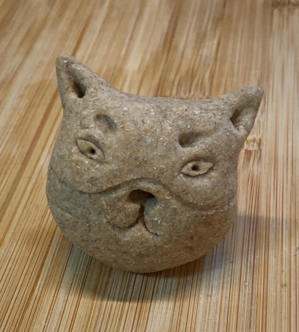 天然酵种长期保存方法 两种