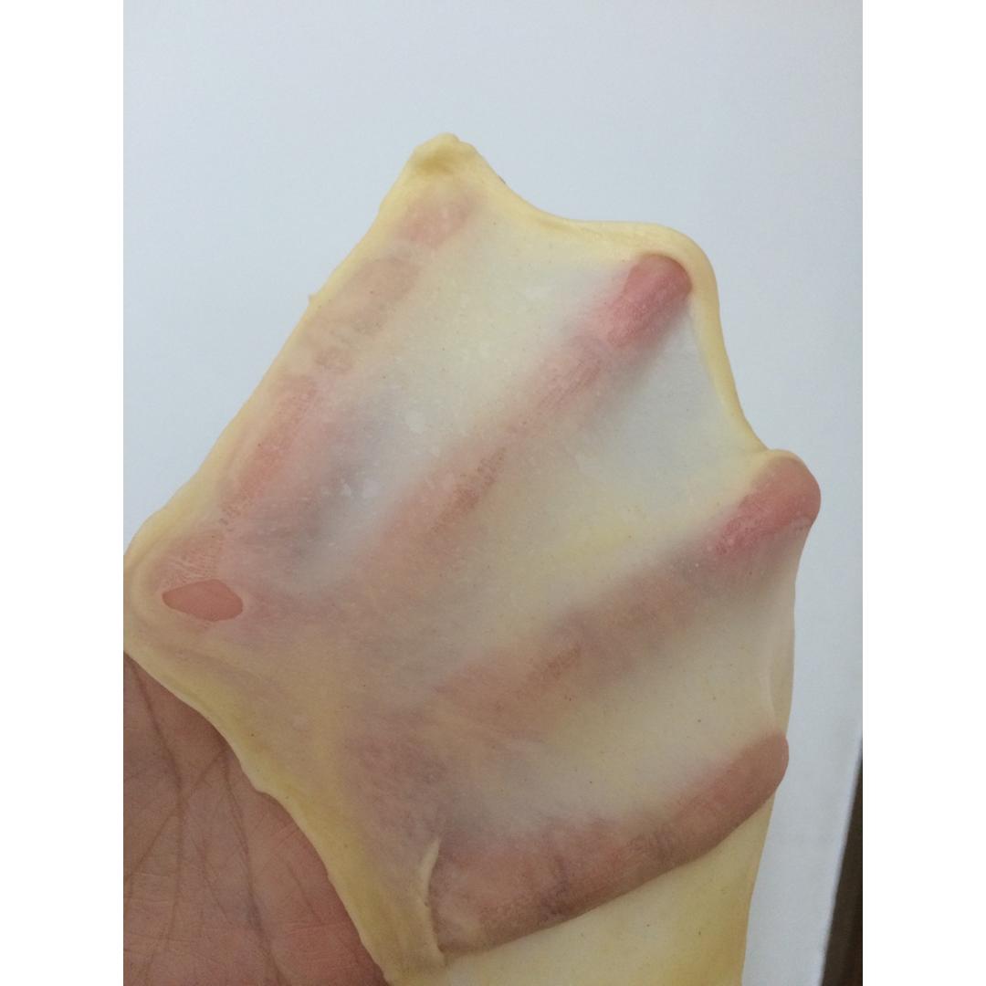 手套膜