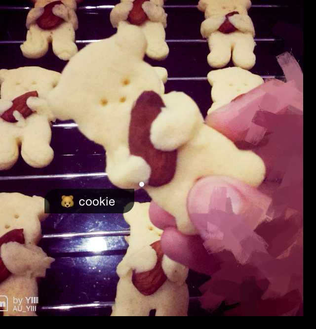 抱杏仁的小熊（造型饼干）