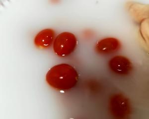 平平无奇冰镇酸梅渍番茄的做法 步骤1