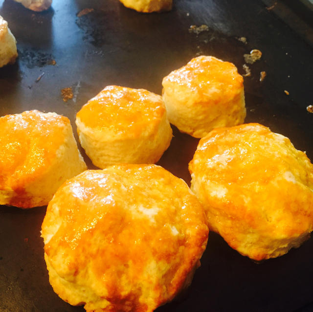 朴素的椰子油咸司康<Coconut Oil Biscuits>