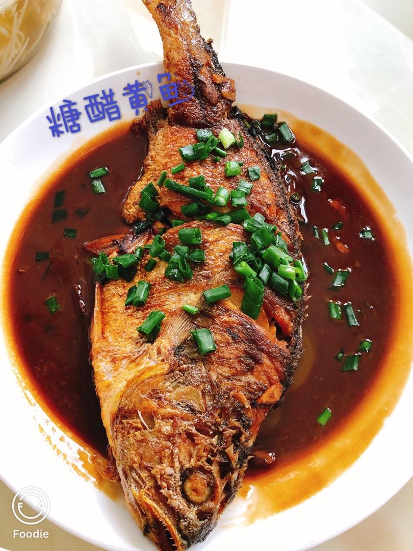 糖醋大黄鱼（任何鱼）-煎鱼不破皮秘诀