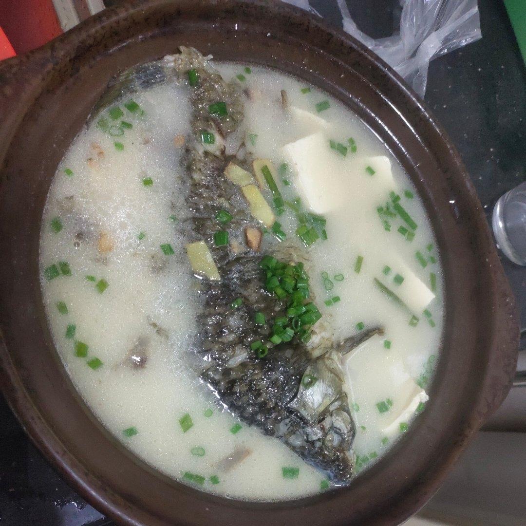 奶白鲫鱼豆腐汤|一条鱼最后的温柔