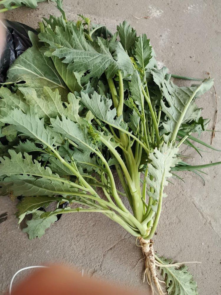 希希温暖做的2020年04月15日