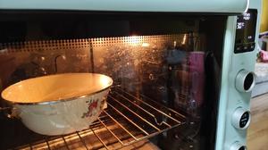 椰蓉心❤️型面包-温水液种法的做法 步骤7