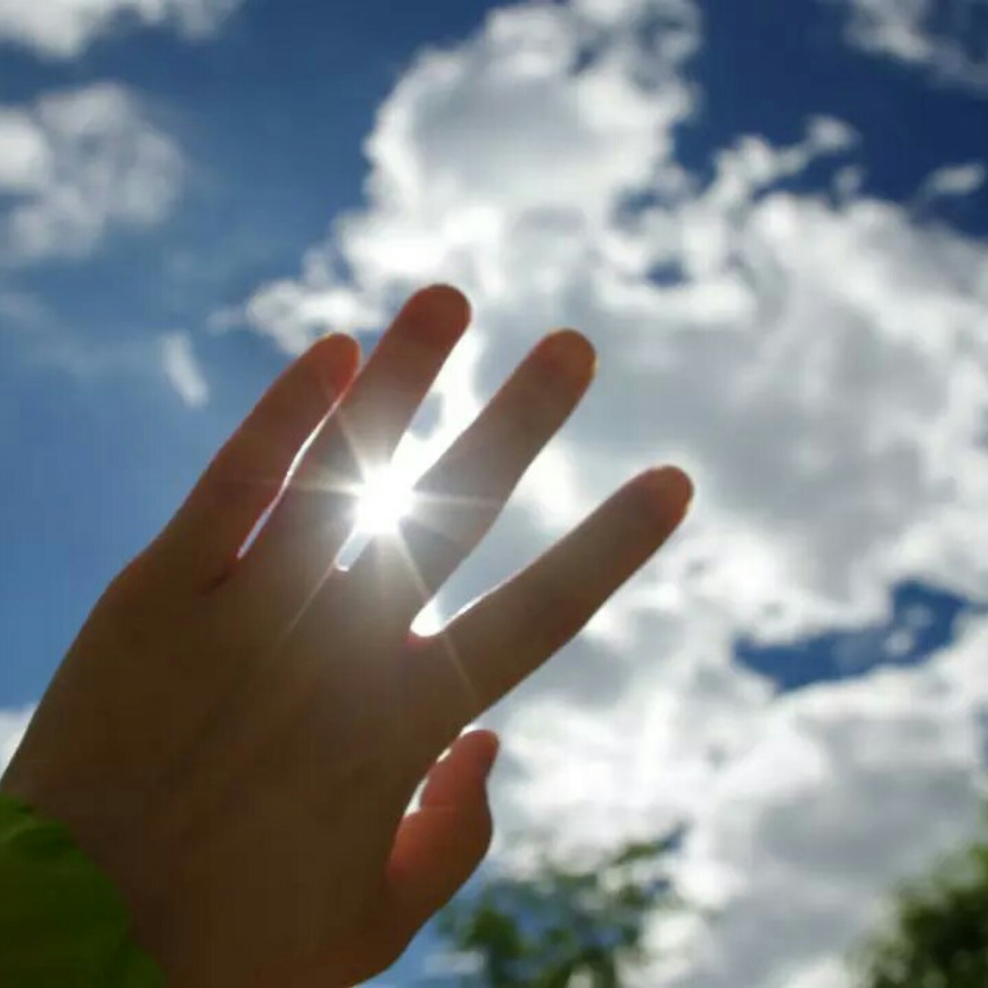 努力学习做饭的阿呆