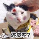 地锅地锅