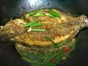 红烧福寿鱼（罗非鱼）的做法 步骤7