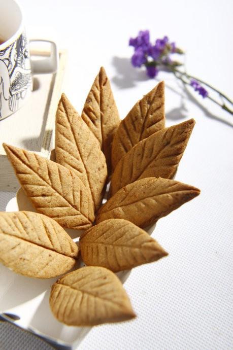 巧克力玉桂树叶