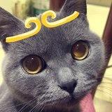 逗小逗麻麻日记