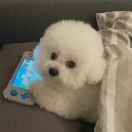 手机用户3978_yqmo